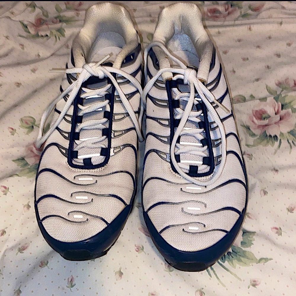 Nike air max plus white and navy blue